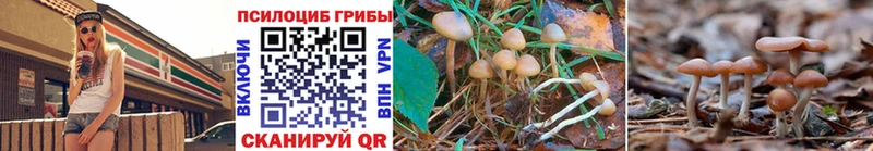 Галлюциногенные грибы MAGIC MUSHROOMS  ссылка на мегу ССЫЛКА  Власиха 